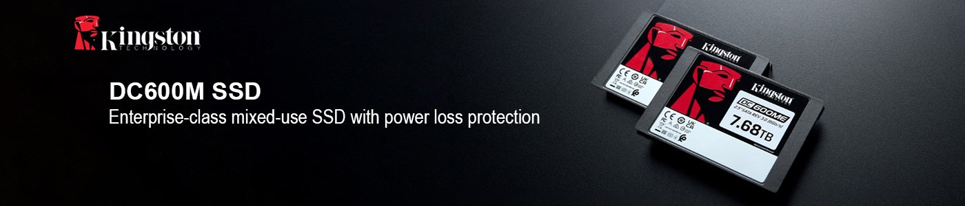 Kingston Server Memory