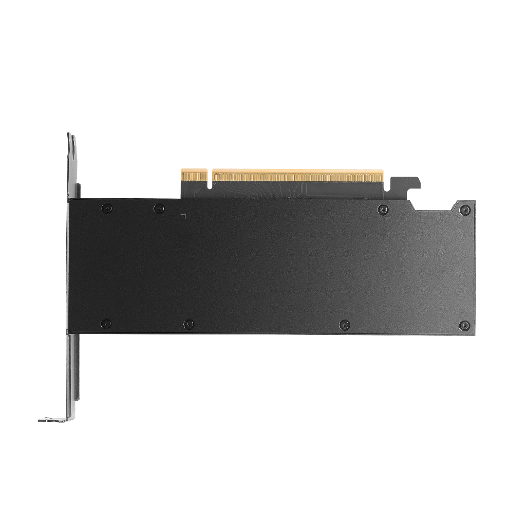 NVIDIA RTX PRO 2000 Blackwell Workstation Edition - 1